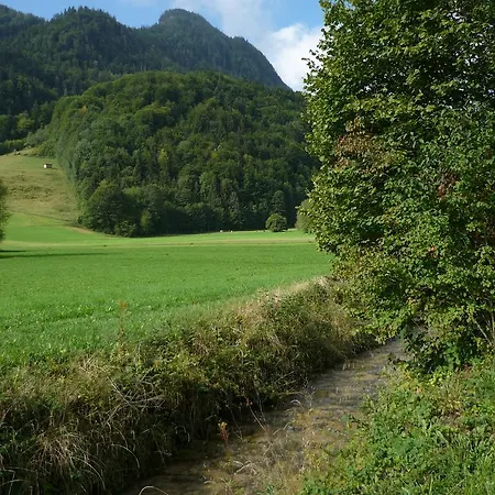 公寓 Am Schlierbach